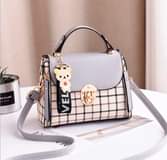 A picture of handbag