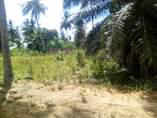 A picture of Yard inauzwa