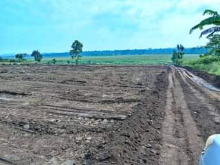 houses hoima