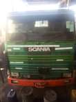 A picture of Horse 113