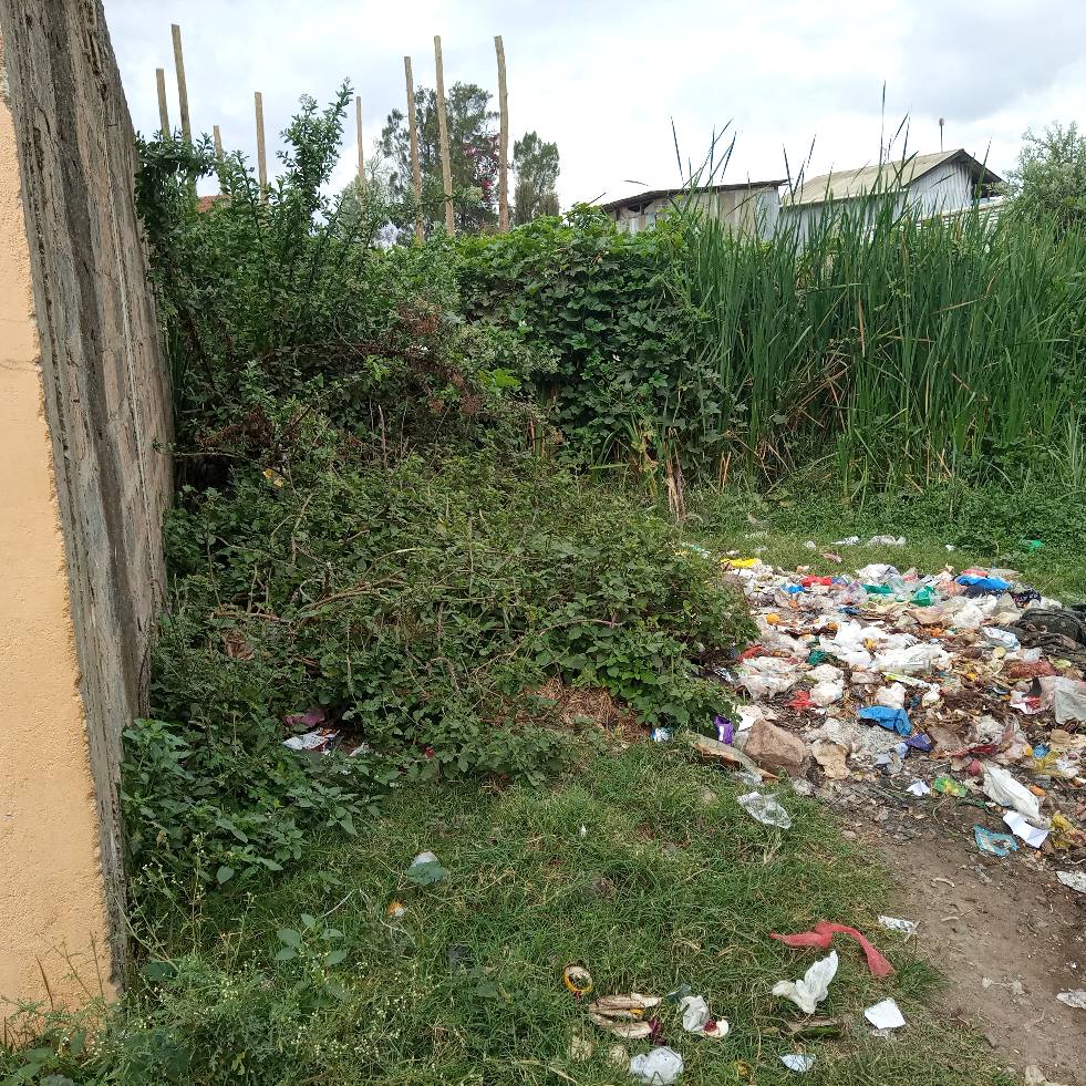 A picture of Plots