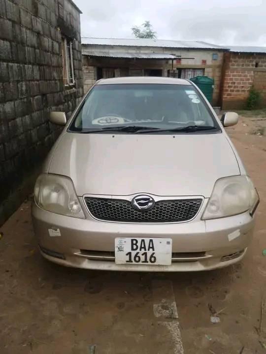 used toyota runx