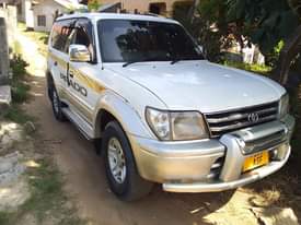 A picture of TOYOTA PLADO TX