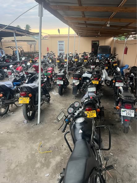 A picture of NIPIGIE 0685820325