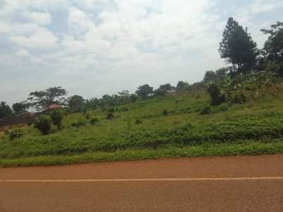 A picture of 50 by 100 ft for sale along kisoga mukono katosi