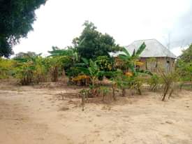 A picture of Nyumba inauzwa Kibaha kwa Mfipa