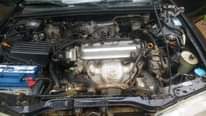 A picture of Honda Accord