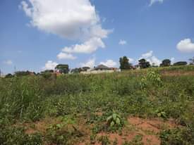 A picture of PRIME ESTATE PLOTS 12DECIMALS IN BULOBA TOWN AT UGX40M