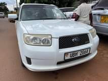 Daudi B.
