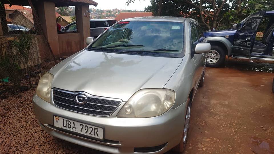 used toyota corolla