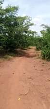 A picture of Bombo Ndejje university view