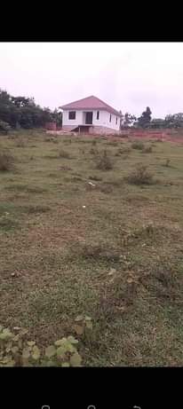 A picture of Plot of land for sale Price 15millions