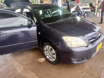 used toyota runx