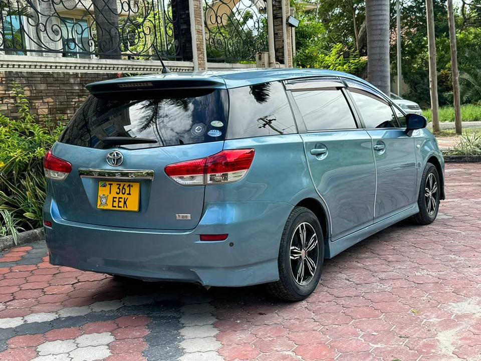 A picture of 2009 Wish New Model