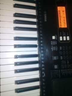 yamaha