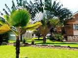 A picture of 5Bedroom House Bank Sale in Mukono for 600M