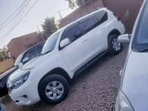 A picture of Landcruiser Prado TX 175m