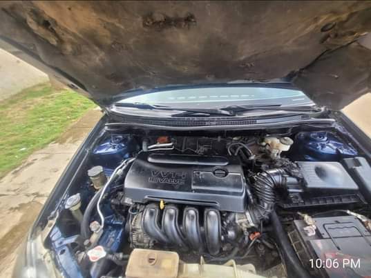 A picture of Mad Distress ooo 2007 Toyota Corolla LE with super sharp