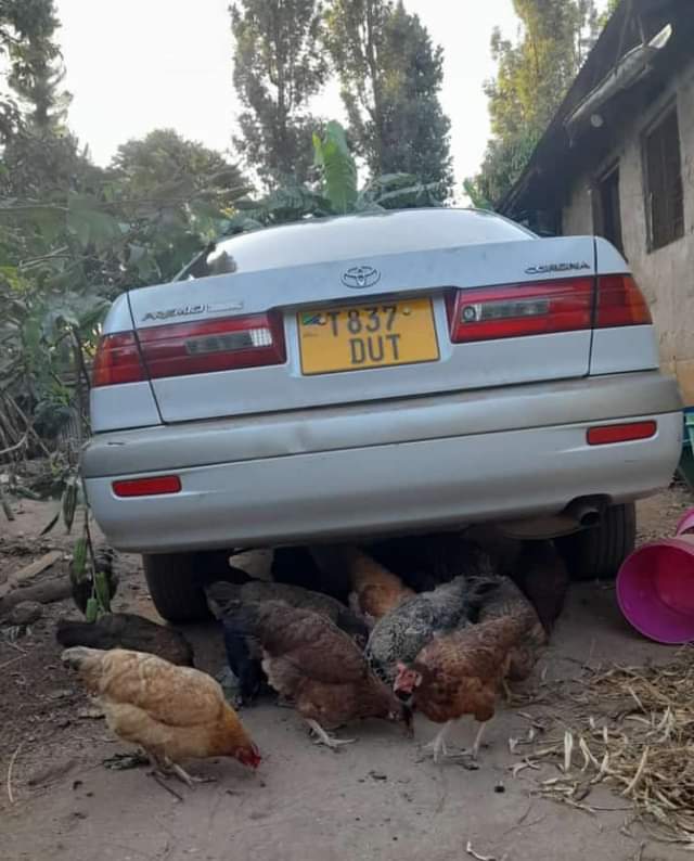 A picture of TOYOTA PREMIO INJINI NDOGO INAUZWA 4.5M 0743173980