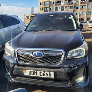 A picture of FORESTER 2013 48M