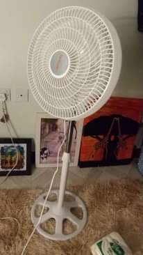 A picture of KITI TAA STAND FENI MITO
