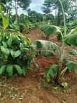 A picture of Our dear customers the rainy season has started we are