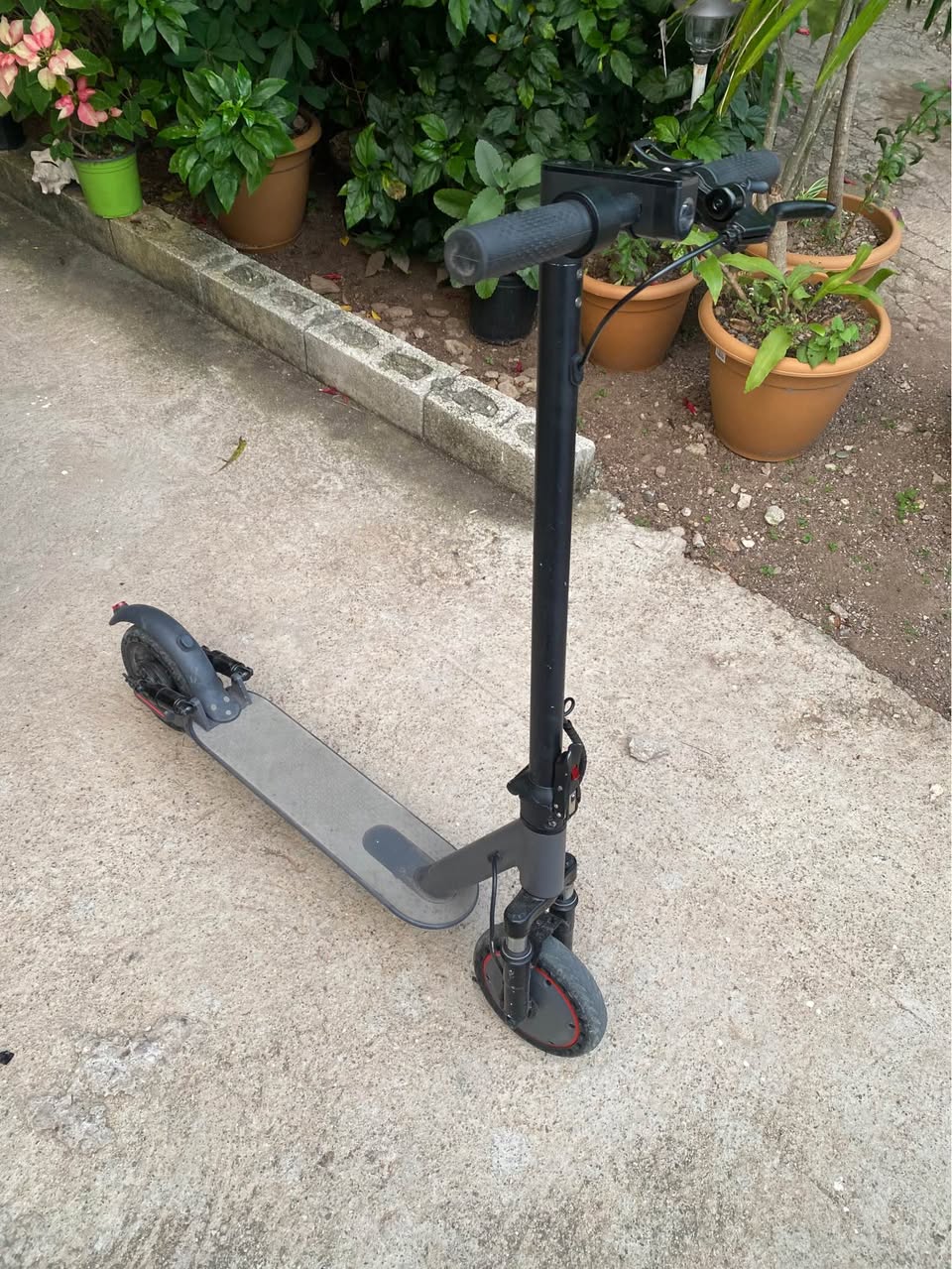 scooters