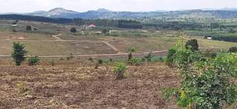 houses hoima
