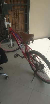 A picture of Baiskeli bcycle
