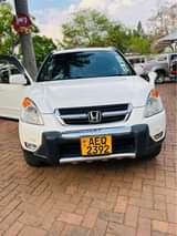 used honda crv