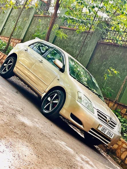 A picture of 2005 Toyota allex