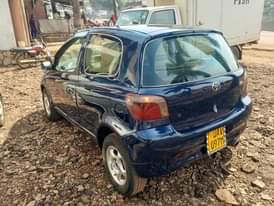 A picture of Vitz