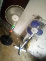 fans