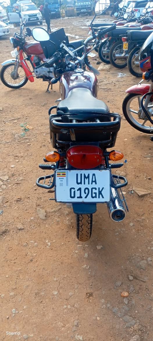 motorbikes