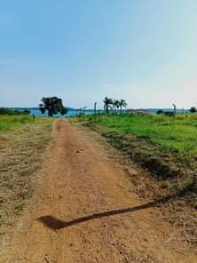 A picture of These are Water view plots on sale in Entebbe Bwerenga