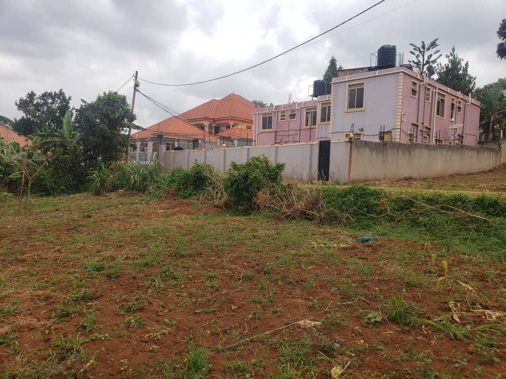 houses for rent