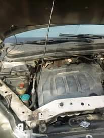 A picture of Honda adyssey 09 mordel