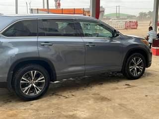 A picture of Registered Highlander 016 017 registered but briefly used selling for