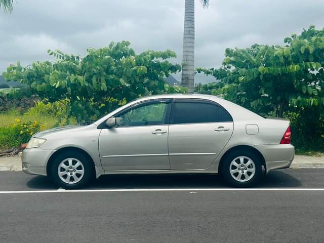 used toyota corolla