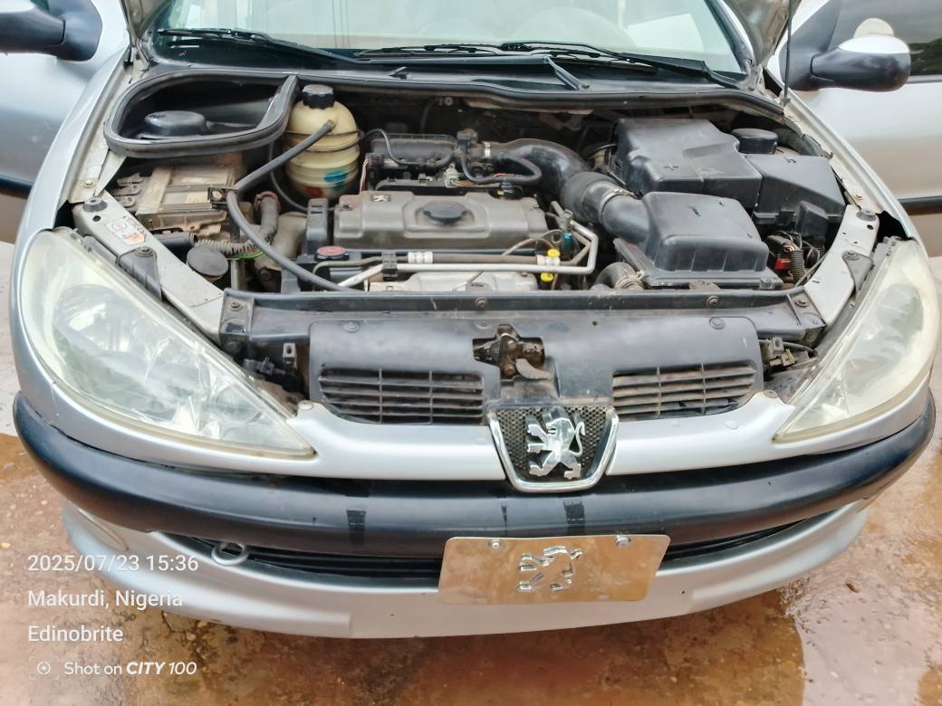 A picture of Peugeot 206