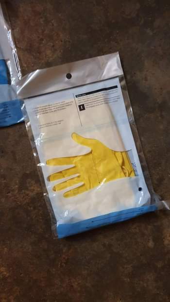 A picture of Gloves