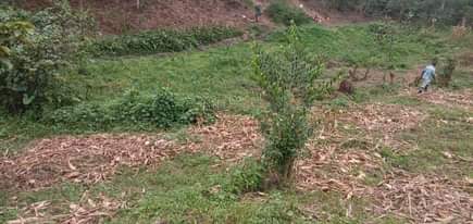 A picture of Ebibanja bibiri ebitundibwa ngabyanjuwulo 2 acres and half for sale