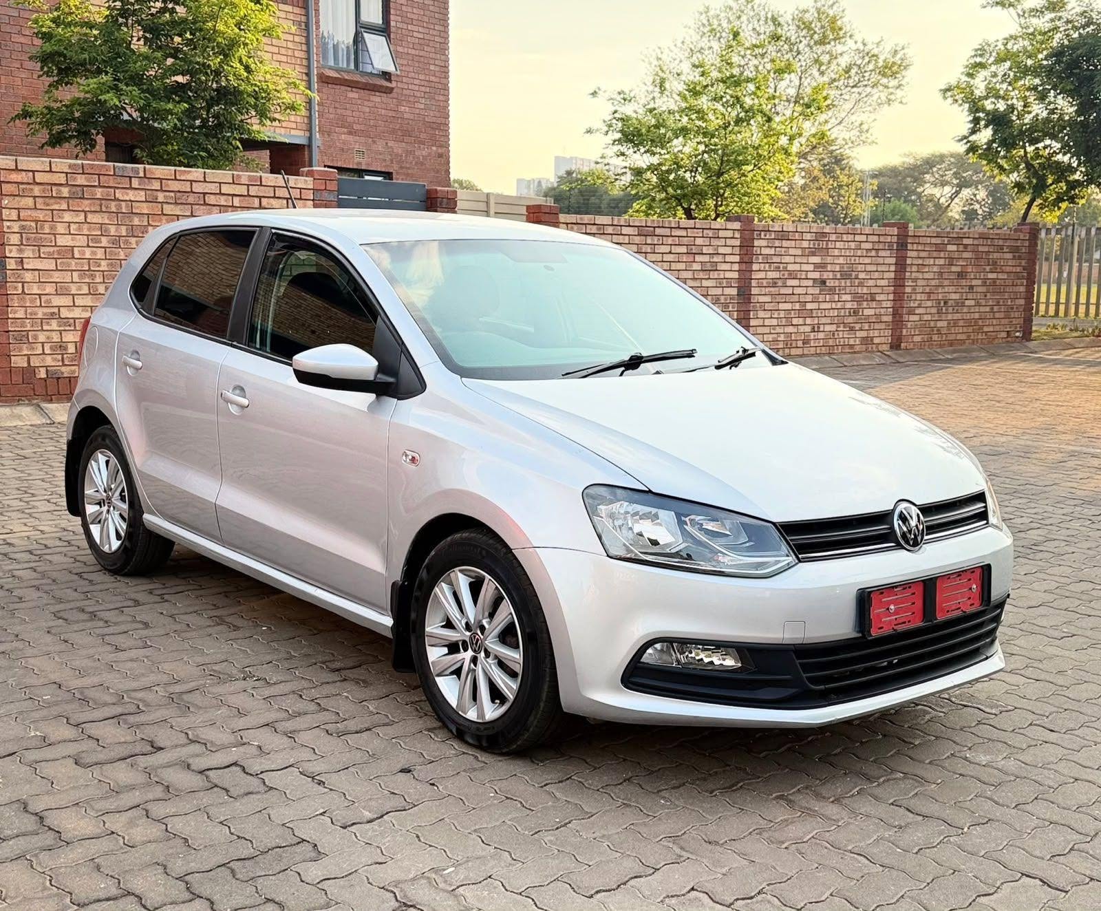 polo vivo