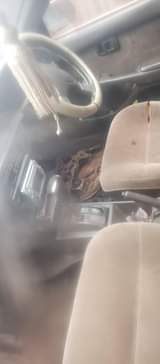 A picture of CORONA 170 FOR SALE