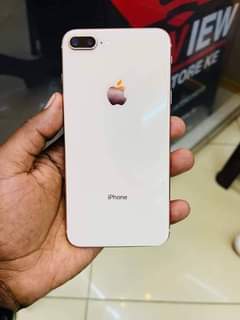 Apple K.