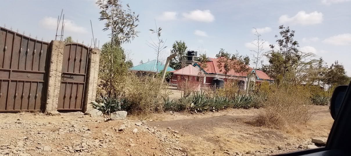 houses ruiru
