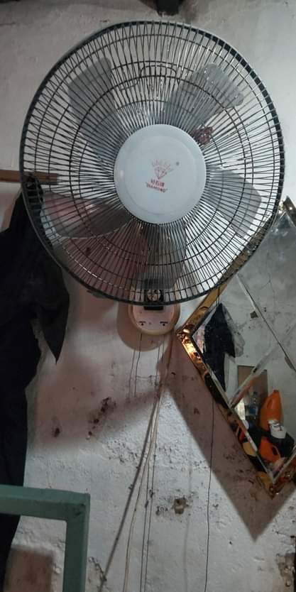 fans