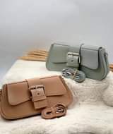 A picture of Bags
