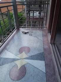 A picture of Terrazzo