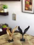 A picture of Home Decorations
